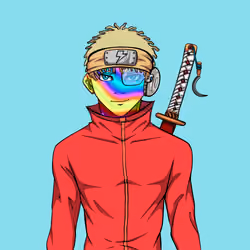 Ninja #1511