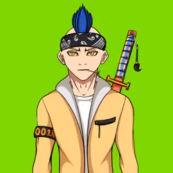 Ninja #6722
