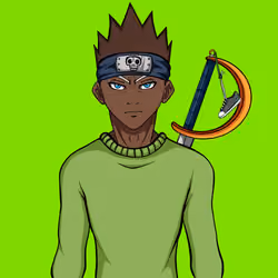 Ninja #2638