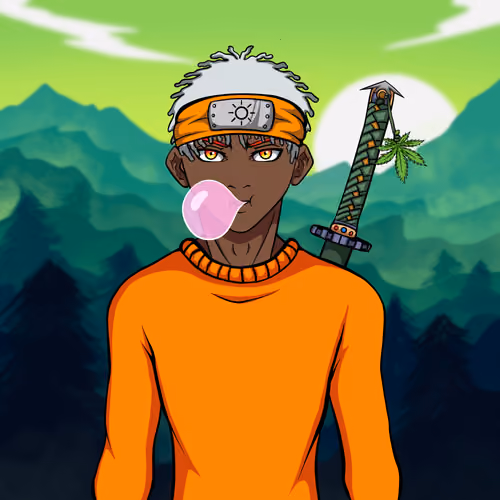 Ninja #3474