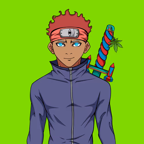 Ninja #8851