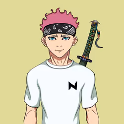 Ninja #2850