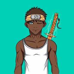 Ninja #6733