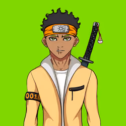 Ninja #4957