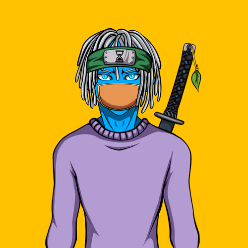 Ninja #6902