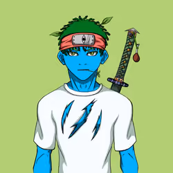 Ninja #695