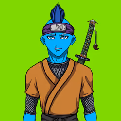 Ninja #765