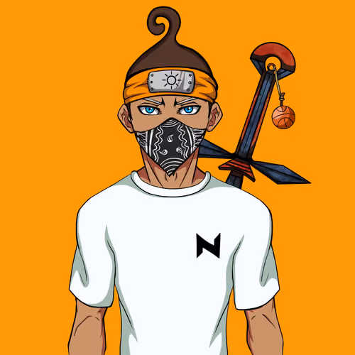 Ninja #312