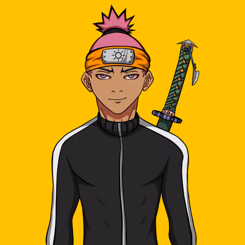 Ninja #6717