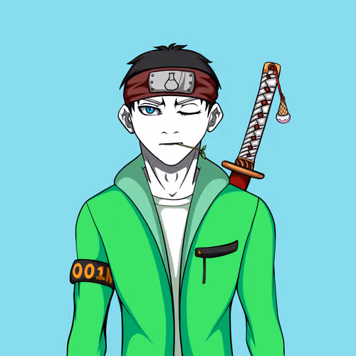 Ninja #5816