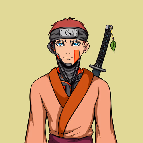 Ninja #2613