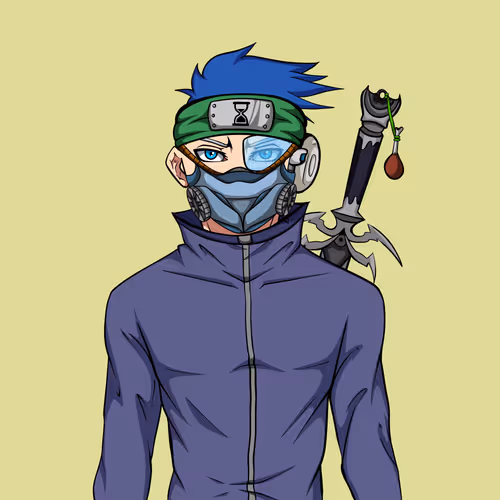 Ninja #8870