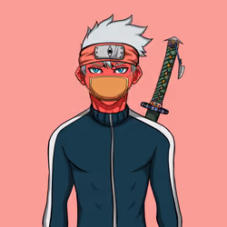 Ninja #7056
