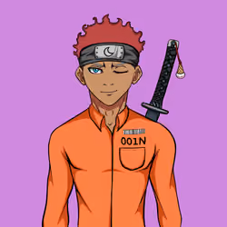 Ninja #5229