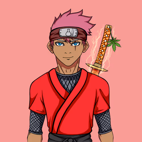 Ninja #8855