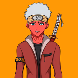 Ninja #6858