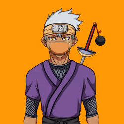Ninja #5018