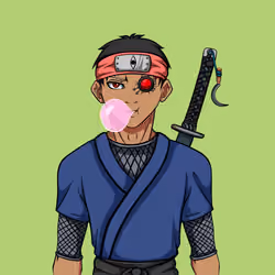 Ninja #6914