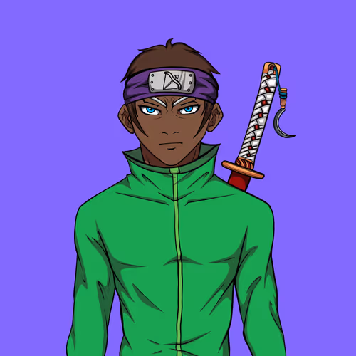 Ninja #6183