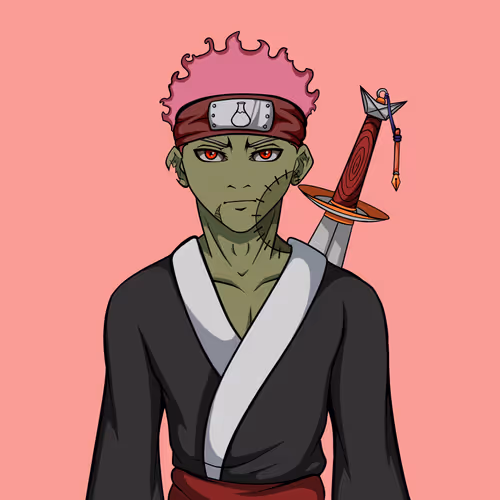 Ninja #8872