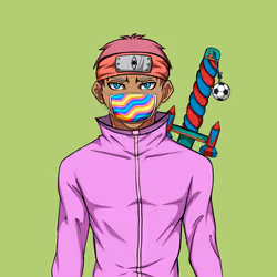 Ninja #693