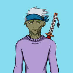 Ninja #2052