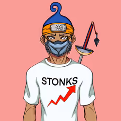 Ninja #6732
