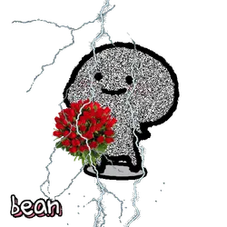 2559