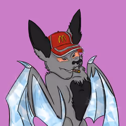 UltraSound Bat Club #173