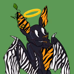 UltraSound Bat Club #112