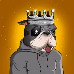 Dog 1596