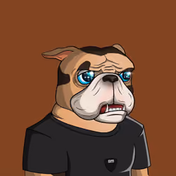 Dog 307