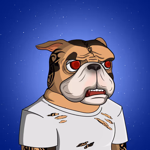 Dog 322