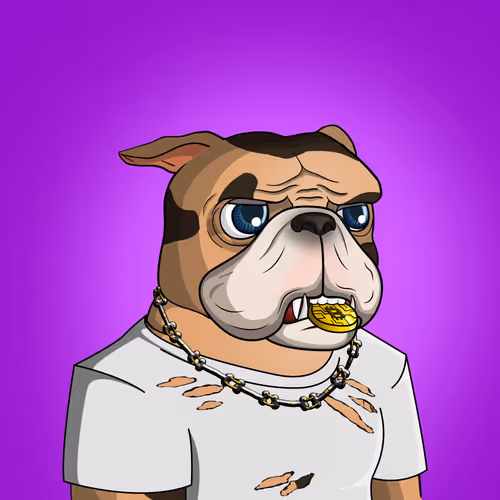 Dog 1739