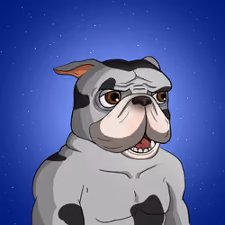 Dog 554