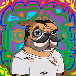 Dog 298