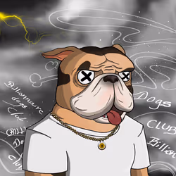 Dog 248