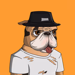 Dog 1353