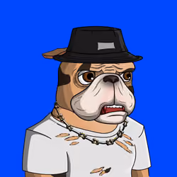 Dog 120