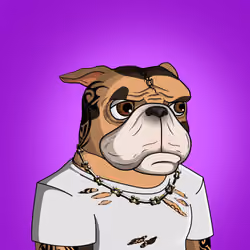 Dog 632