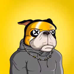 Dog 1479