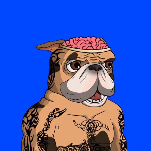 Dog 1559