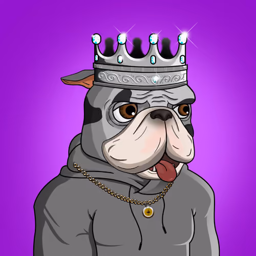 Dog 382
