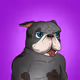 648
