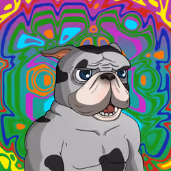 Dog 581