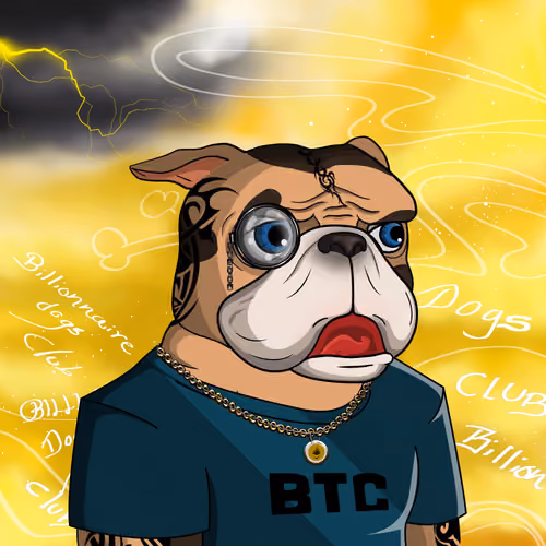 Dog 5