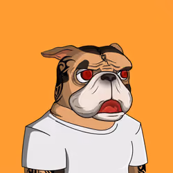 Dog 608