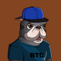 Dog 902
