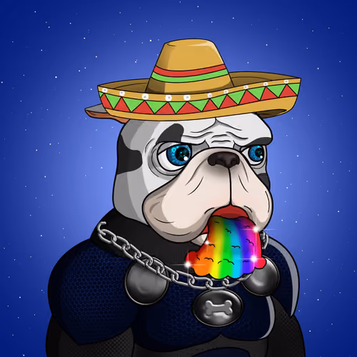 Dog 62