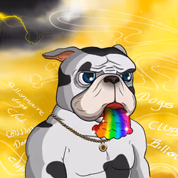 Dog 712